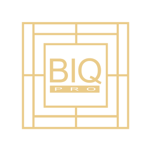 BIQ-pro-logo